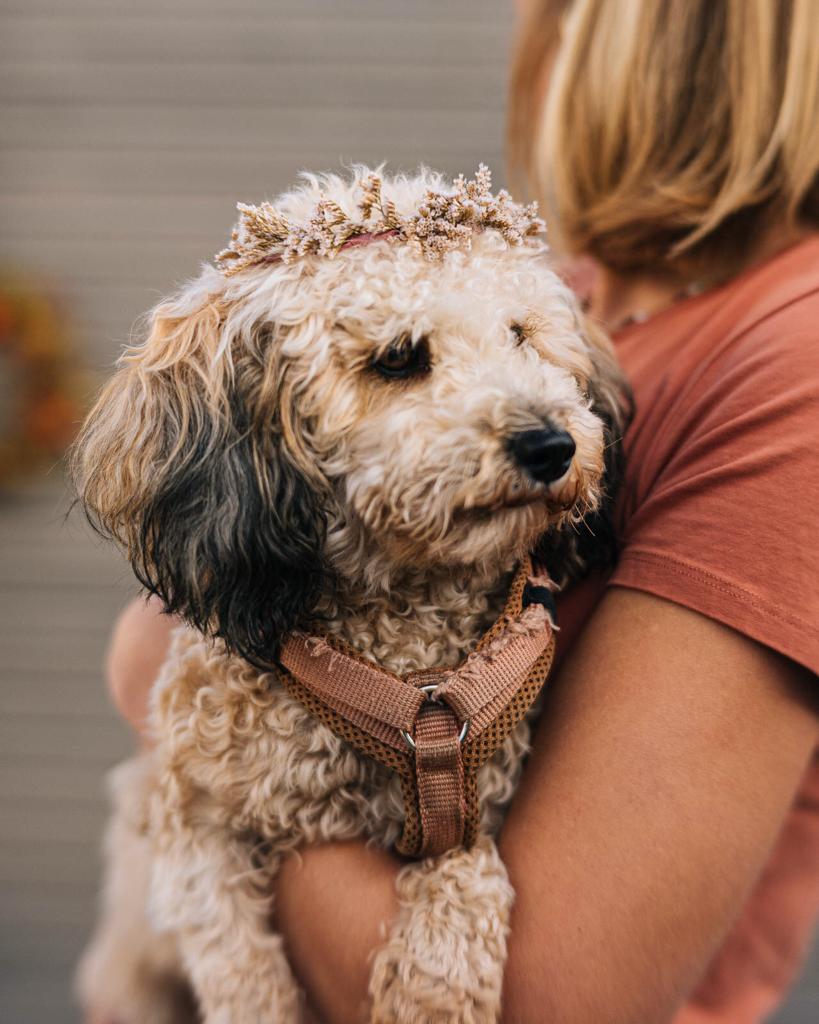 Euflorie_Floralwerkstatt_Augsburg7